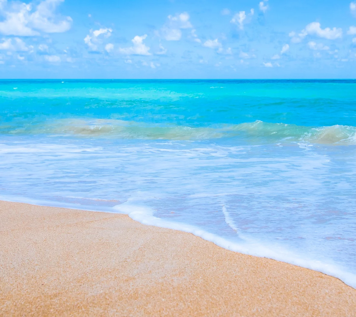 ocean