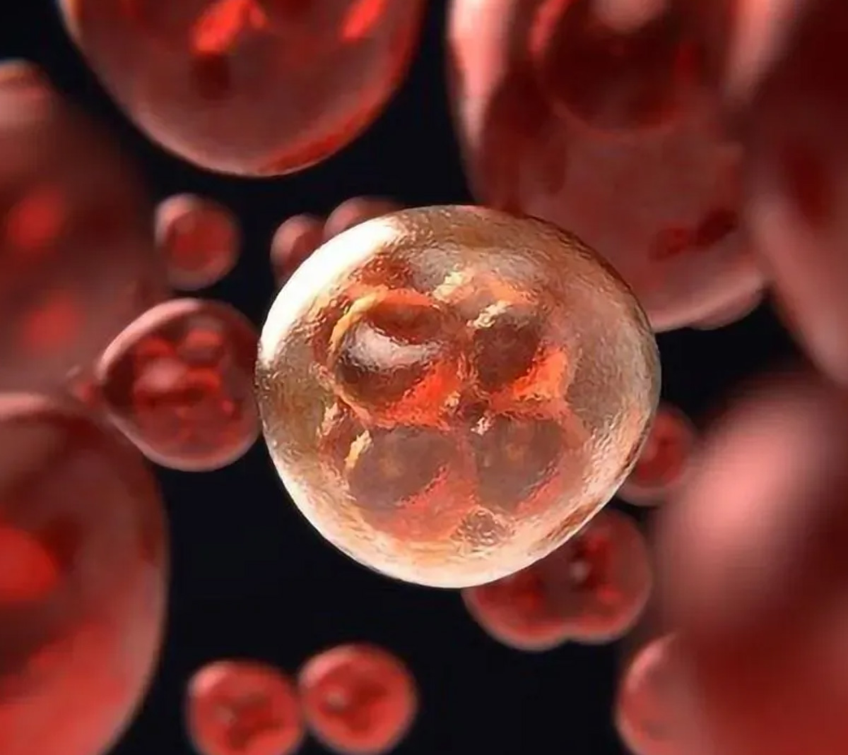 cells