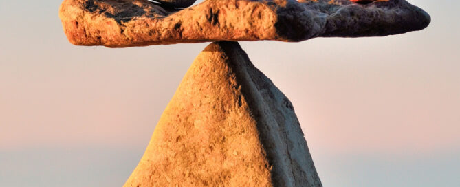 balance
