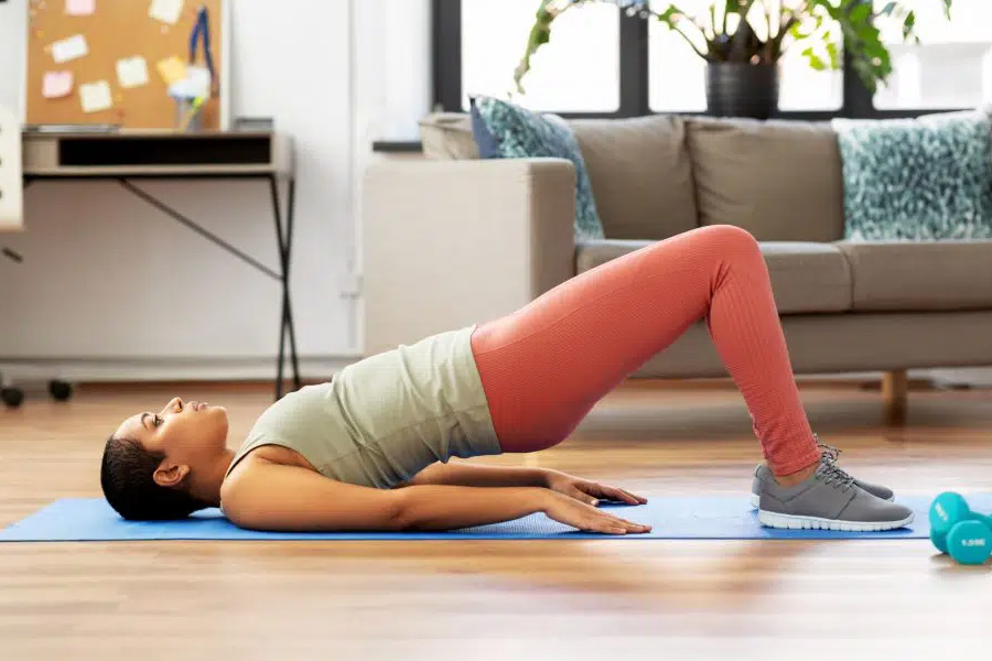 Pelvic floor anatomy