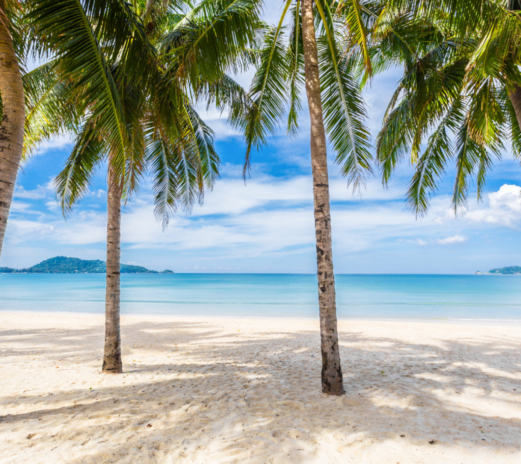 glutathione in phuket Save this one of the most popular beauty clinics Phuket Ren Clinic @renclinic.th Tried their signature Ultravolmer V  Step 1: Ultraformer III for lifting + collagen Step 2: Volnewmer IV Drip Therapy in Phuket